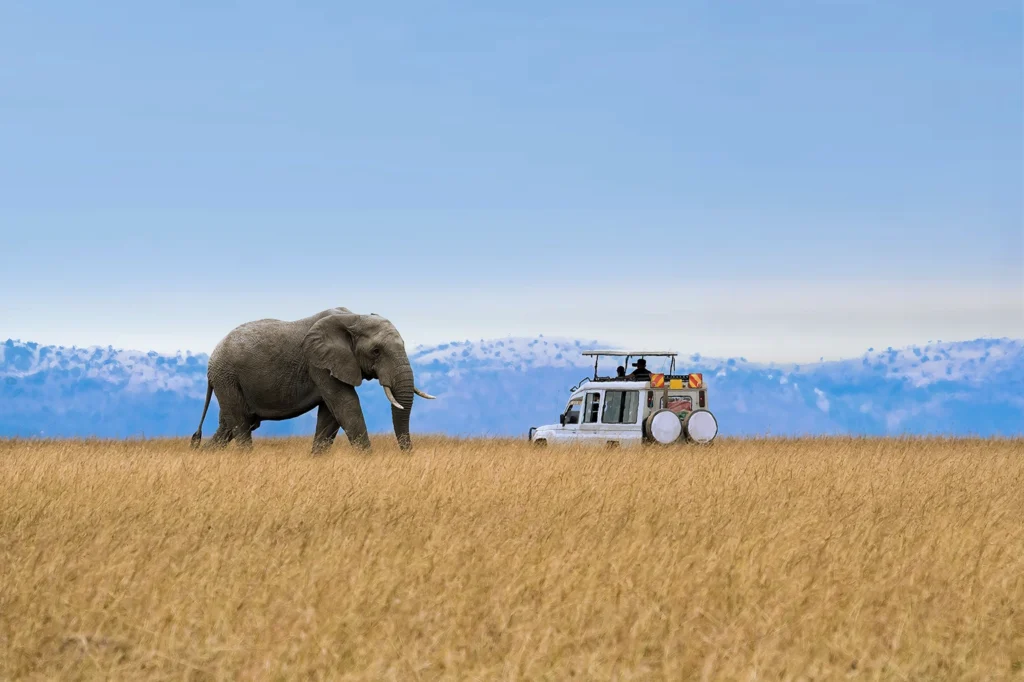 Tarangire Safari Experience Tarangire Safari Experience