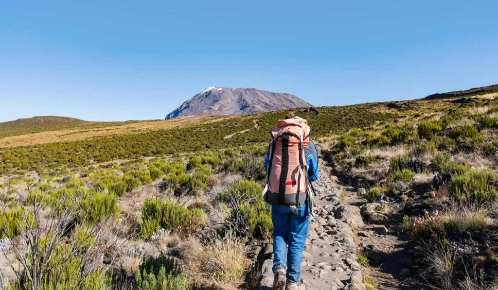 Things To Do In Kilimanjaro Things To Do In Kilimanjaro