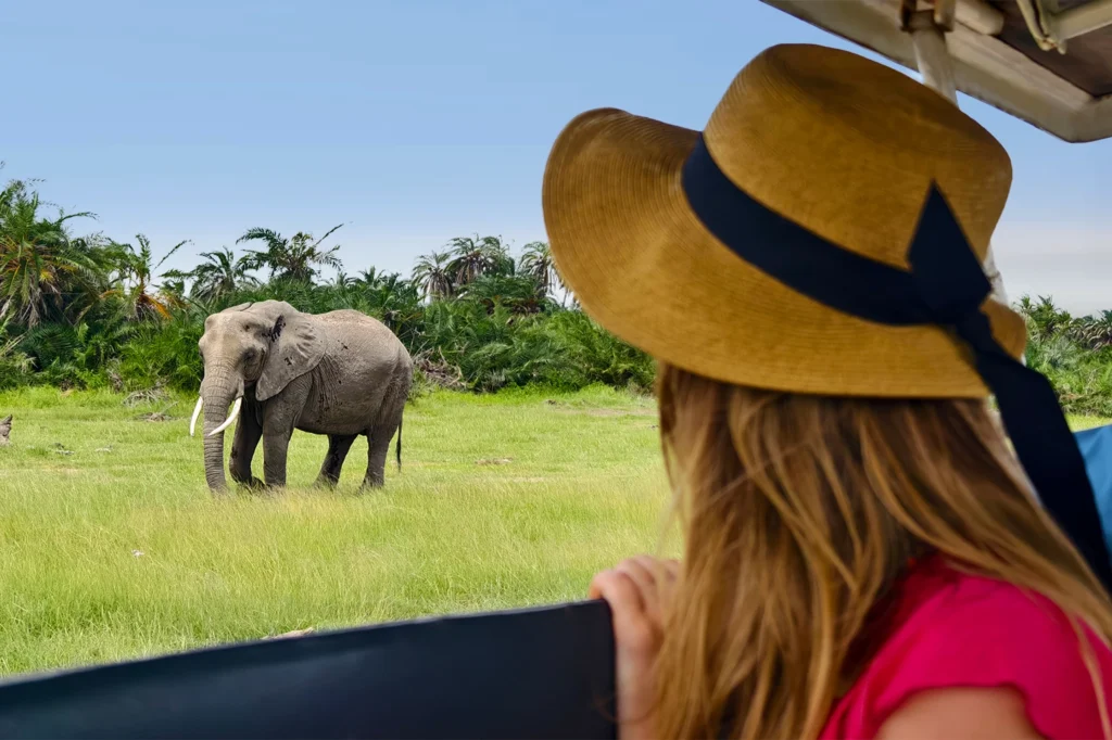 Things To See In Tanzania Things To See In Tanzania