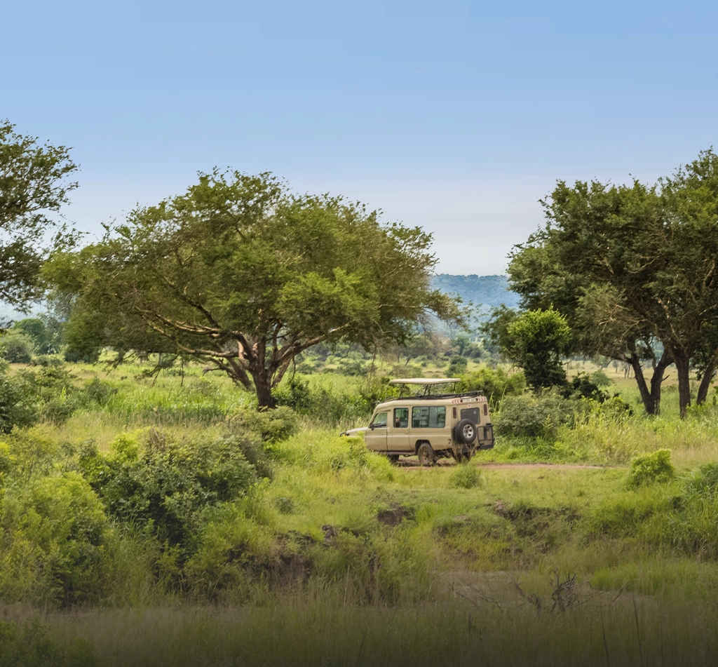 Tanzania Safari Packages