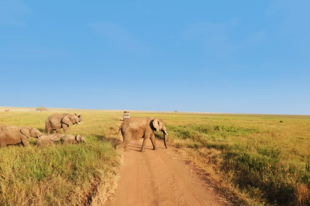 10 Day Tanzania Safari Itinerary