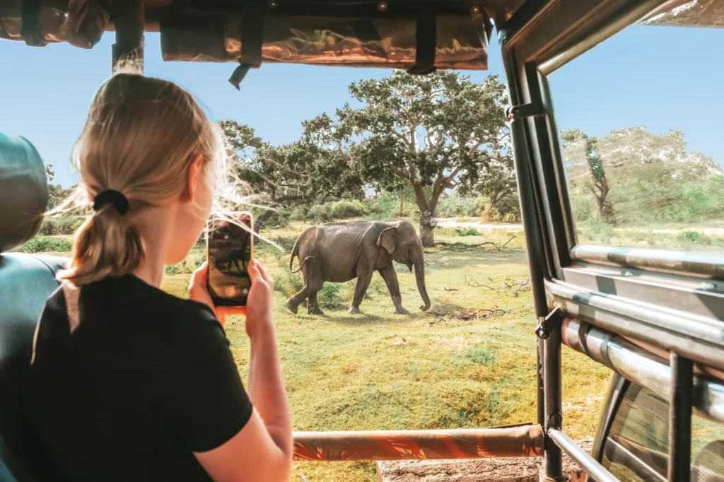 Serengeti Safari Price