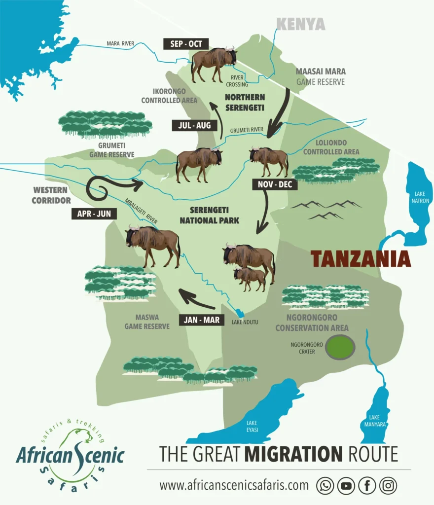 Great Migration Serengeti Map