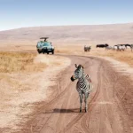 Tanzania Safari cost