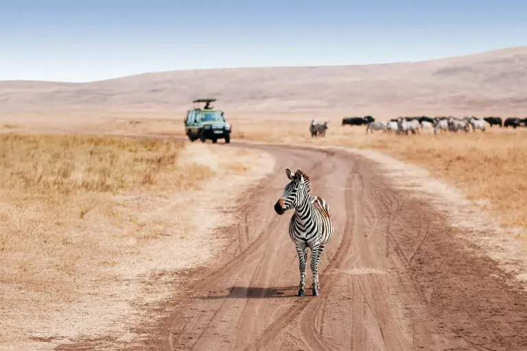 Tanzania Safari cost