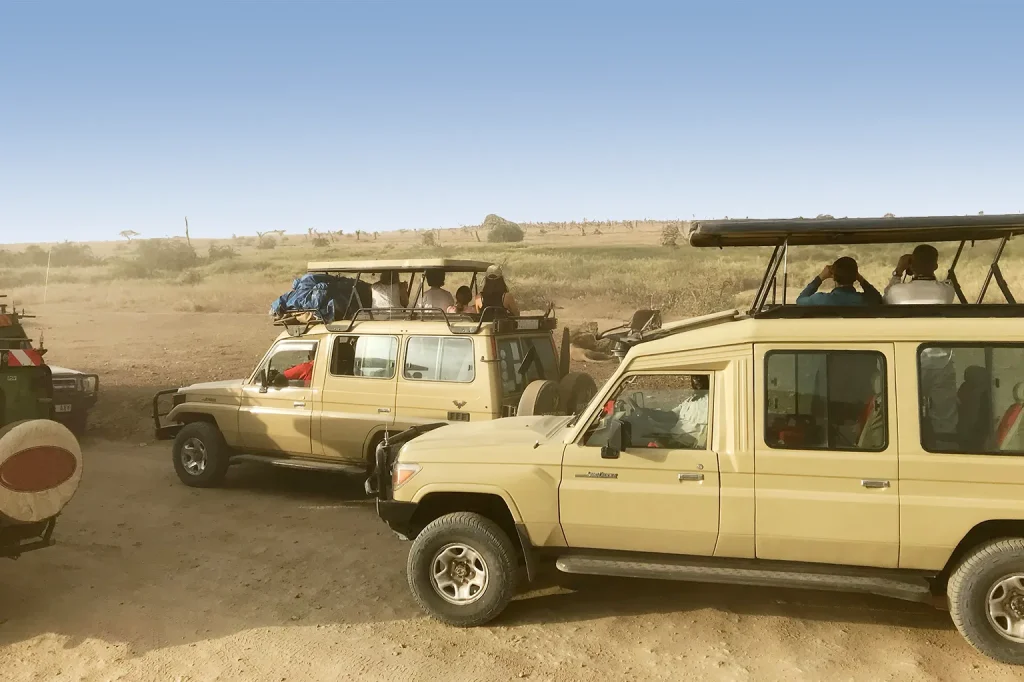 Tanzania Safari Tour Operator