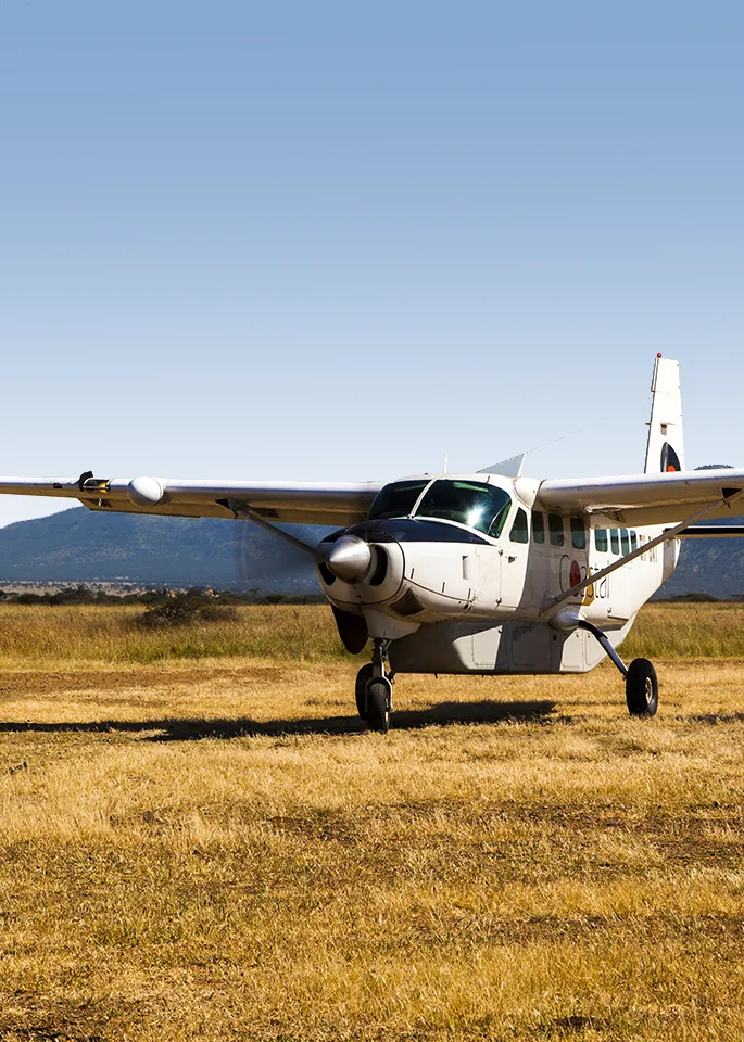 Tanzania Luxury Safari Packages