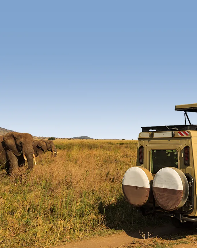 Tanzania Mid Range Safari Packages