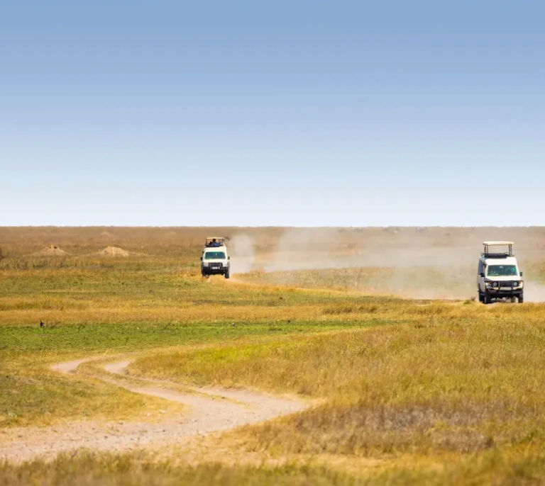 Tanzania Safari Cost