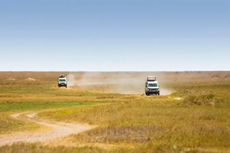 Tanzania Safari Cost