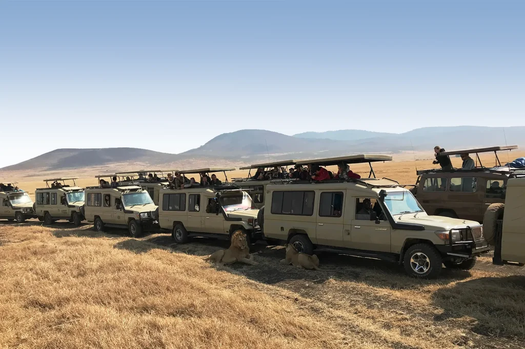 Tanzania Safari Price