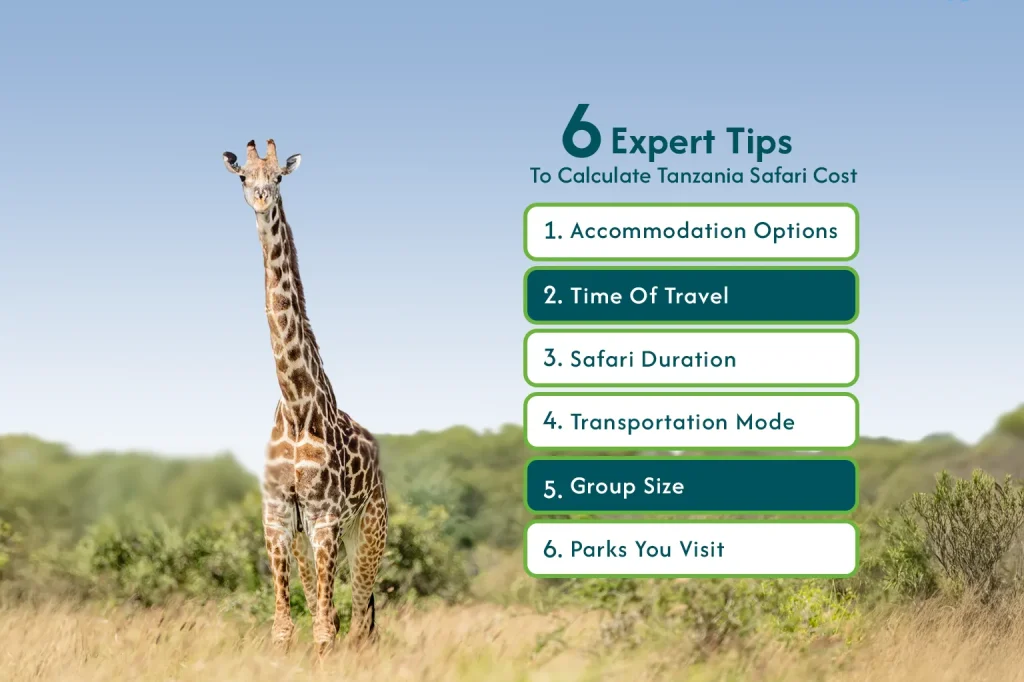 Tanzania Safari Costs