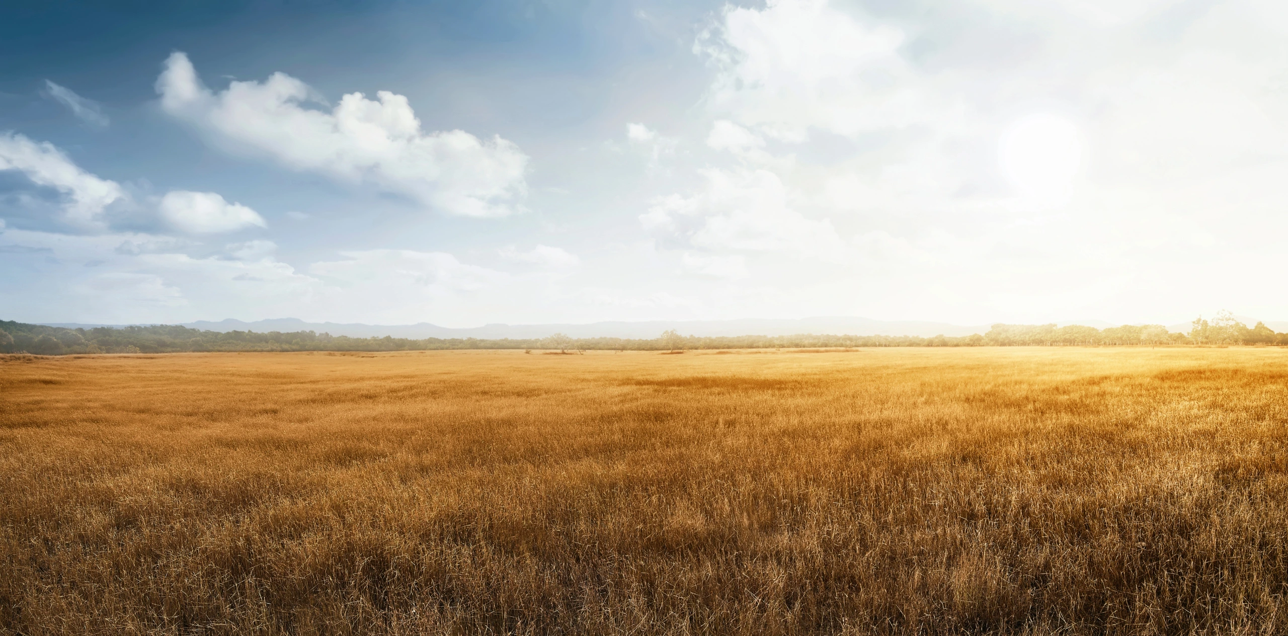 What Does a Tanzania Safari Cost – Guidelines for 2026