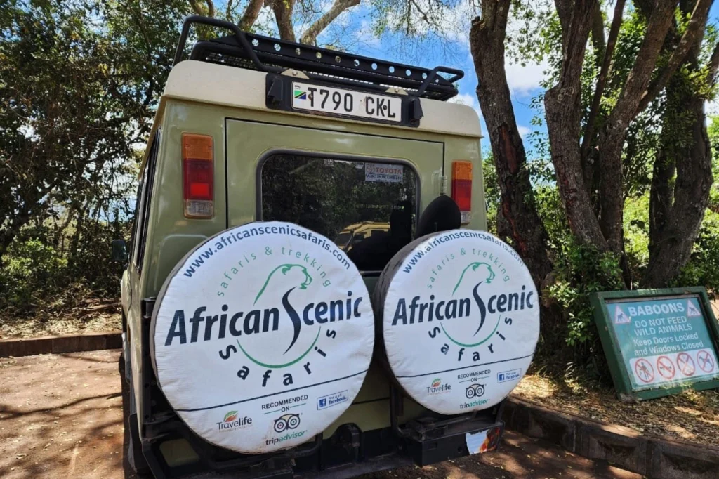Tanzania Safari Cost 2026 Tanzania Safari Cost 2026