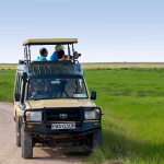 Tanzania Safari Tours