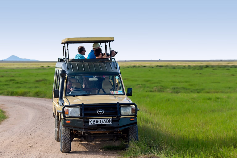 Tanzania Safari Tours