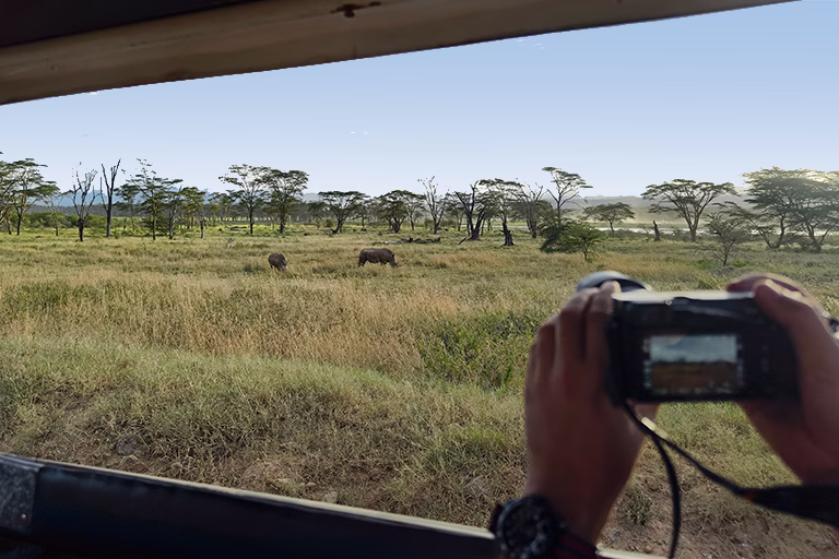 Tanzania Safari