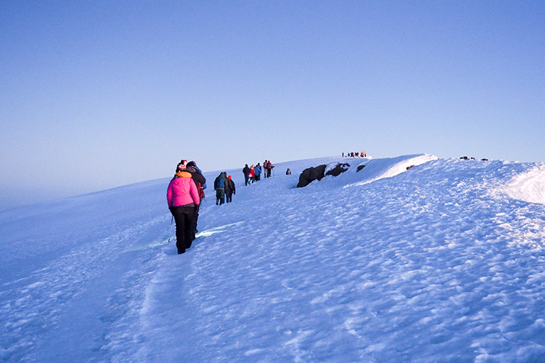 Kilimanjaro In Dry Season