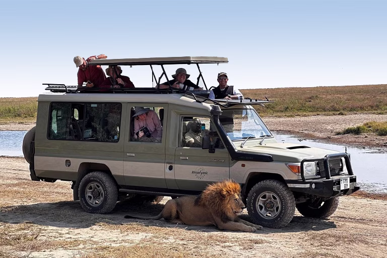 Tanzania Safari Tours