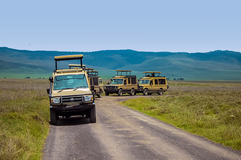 Tanzania Safari Story