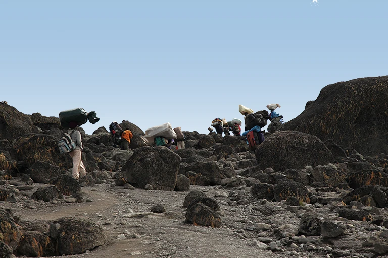 Kilimanjaro Climbing Guide