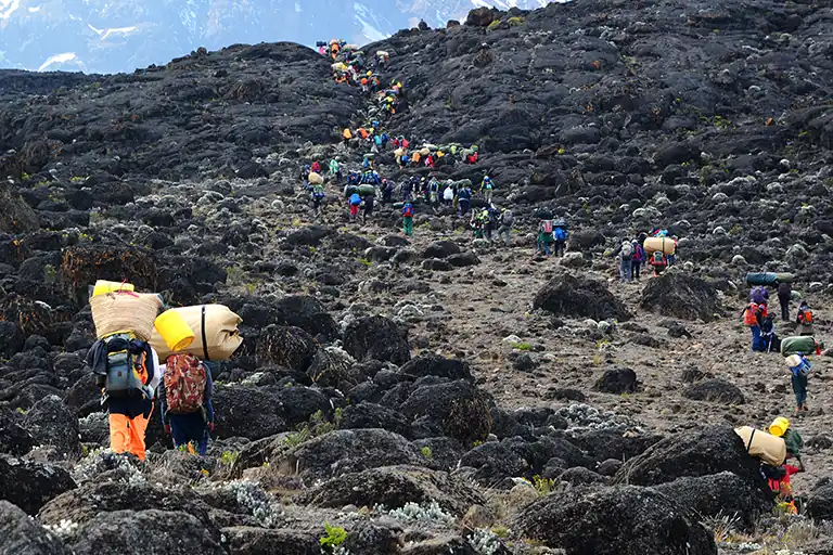 Mount Kilimanjaro Climbing