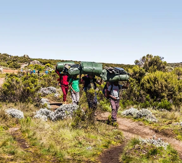 Best Time To Visit Tanzania