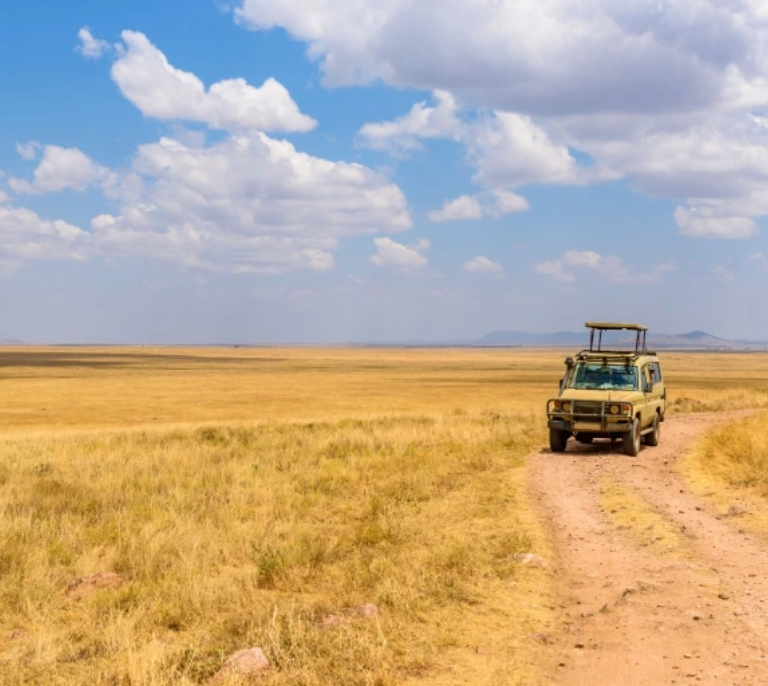 Tanzania Safari Cost