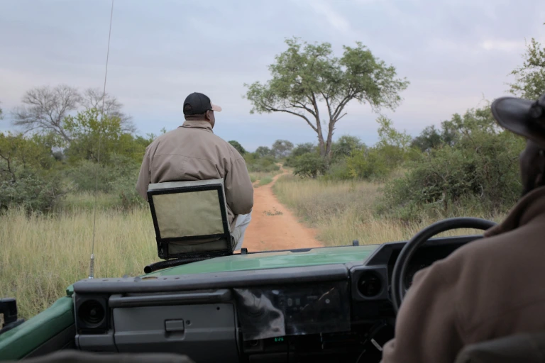 Tanzania Safari Guide