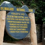 Kilimanjaro Park Fees