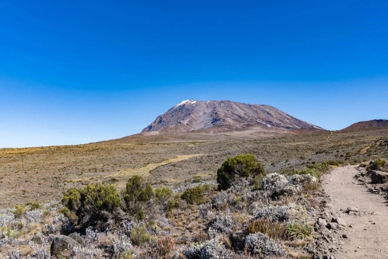 Kilimanjaro Entry Fees