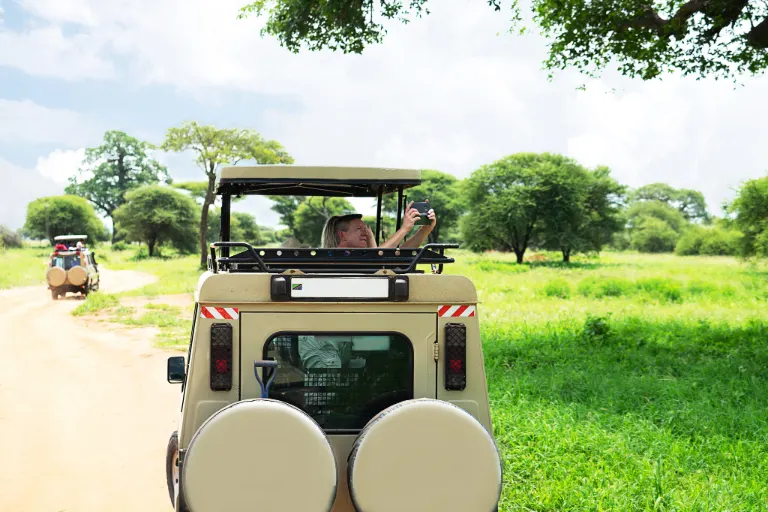 Tanzania Safari Experience