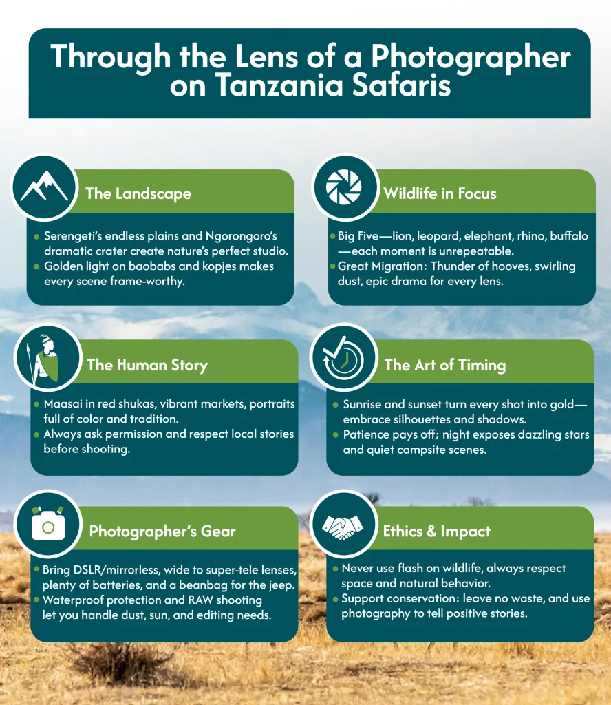 Tanzania Safari