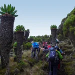 Kilimanjaro Climb Cost