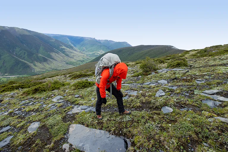 Kilimanjaro Climbing Route