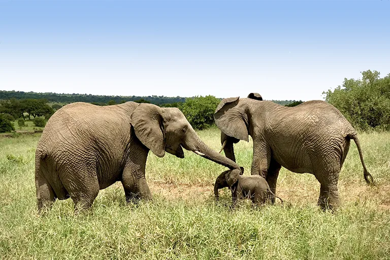 Things To Do In Arusha