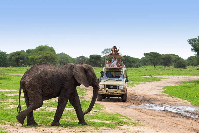 Things To Do In Arusha