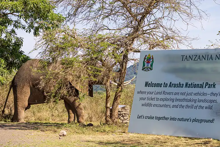 Things To Do In Arusha