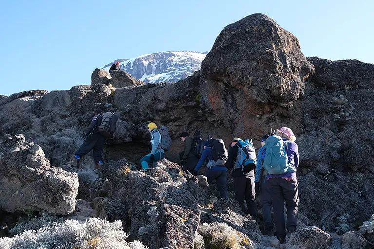 Barranco Wall Kilimanjaro