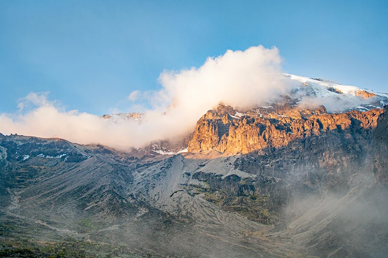 Kilimanjaro Climbing