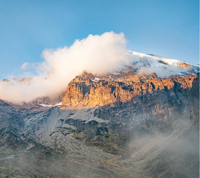 Kilimanjaro Climb