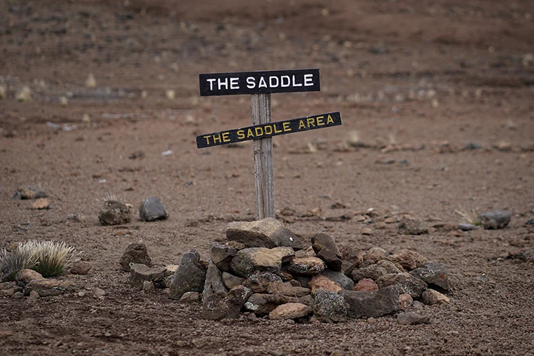 The Saddle Kilimanjaro