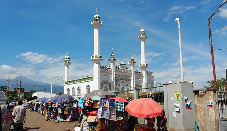 Things To Do In Moshi