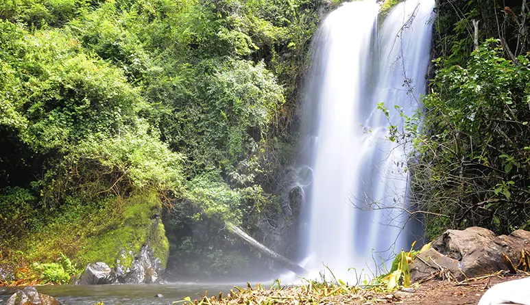 Moshi Waterfalls