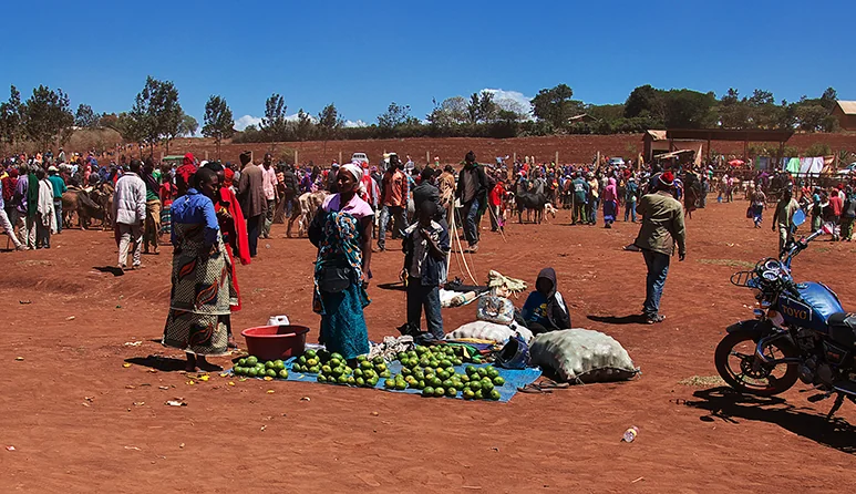 Moshi Food & Markets