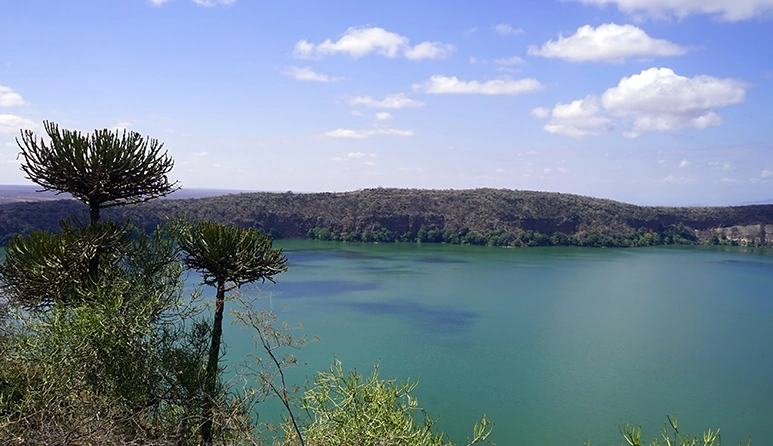 Things To Do In Moshi