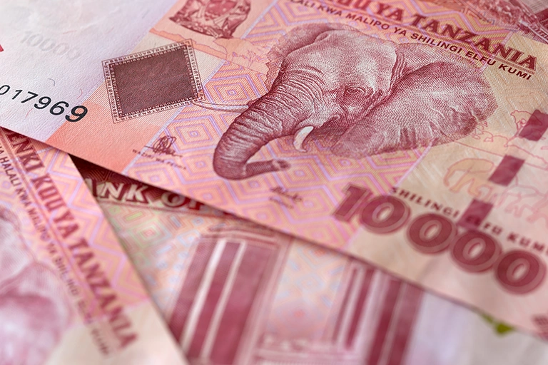 Tanzania Currency
