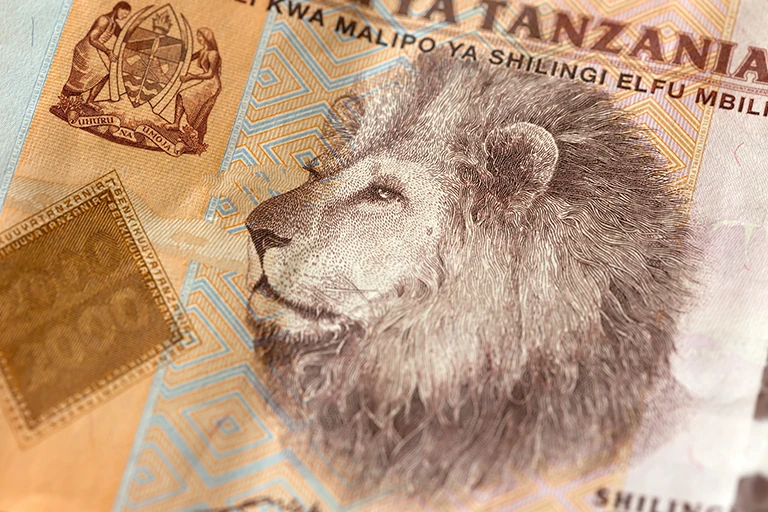 Tanzania Shilling