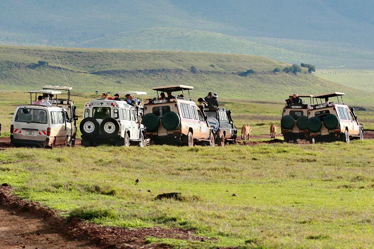 Best Time To Visit Tanzania