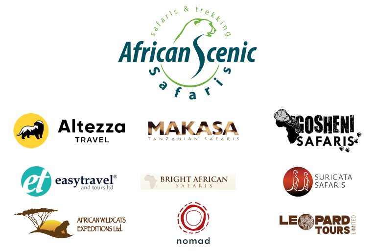 Tanzania Tour Operator